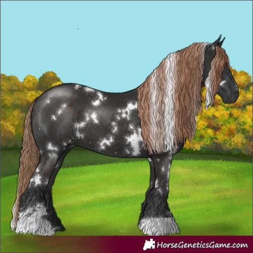 Horse Color:White Spotted Liver Chestnut