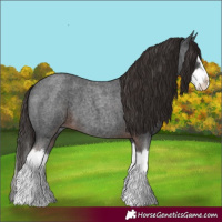 Horse Color:Liver Red Roan Splash 