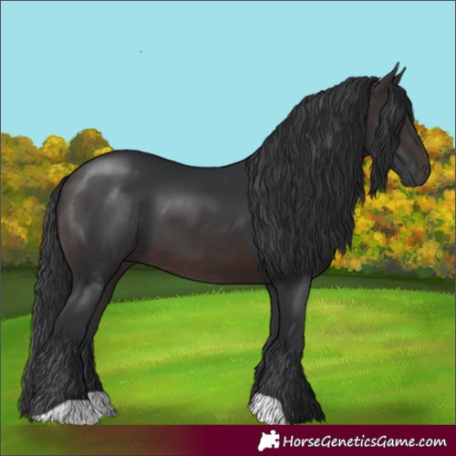 Horse Color:Brown 