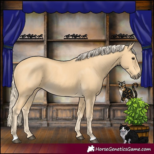 Horse Color:Palomino 