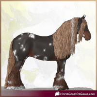 Horse Color:White Spotted Liver Chestnut 