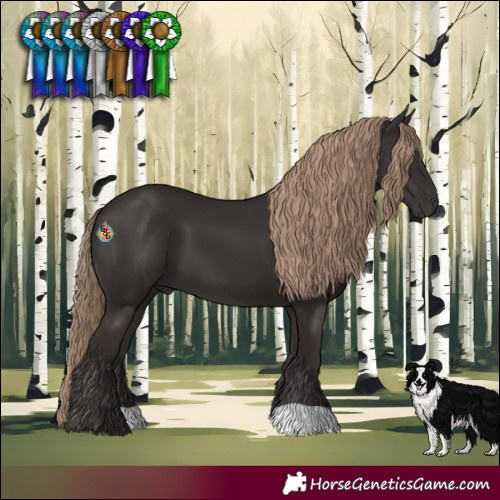 Horse Color:Liver Chestnut 