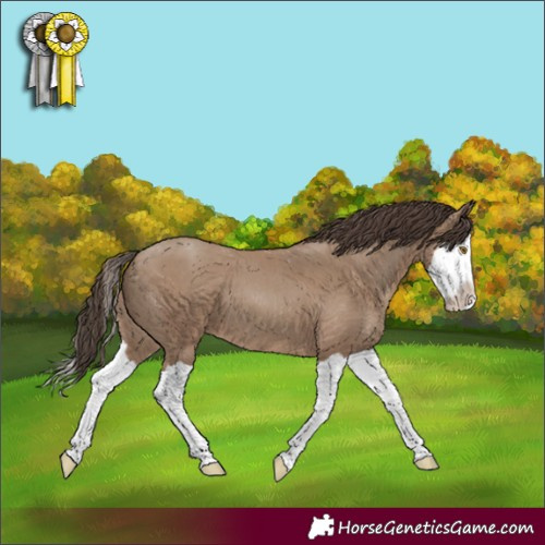 Horse Color:Classic Champagne Splash 