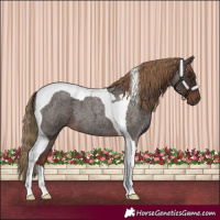 Horse Color:Liver Red Roan Tobiano