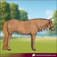 Horse Color:Chestnut 