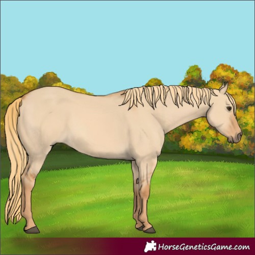 Horse Color:Red Dun 