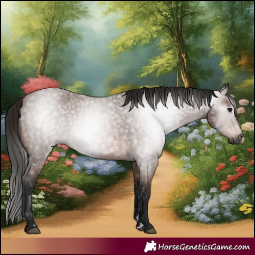 Horse Color:Gray Bay Roan