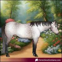 Horse Color:Gray Bay Roan 
