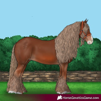 Horse Color:Chestnut Splash Varnish