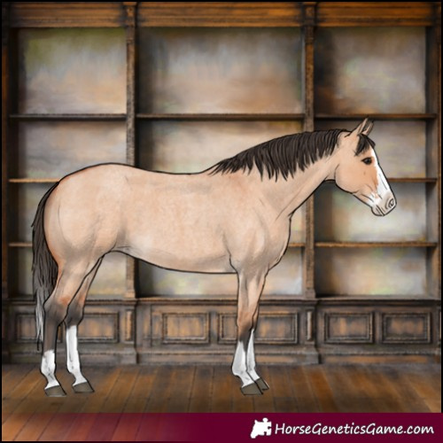 Horse Color:Bay Roan Dun Splash 