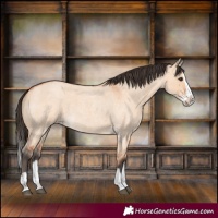 Horse Color:Bay Roan Dun Splash 