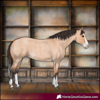 Horse Color:Bay Roan Dun Splash 