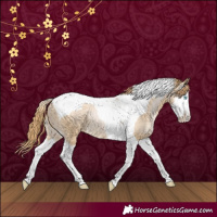 Horse Color:Smoky Black Pearl Splash Tobiano 
