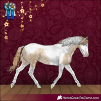 Horse Color:Smoky Black Pearl Splash Tobiano