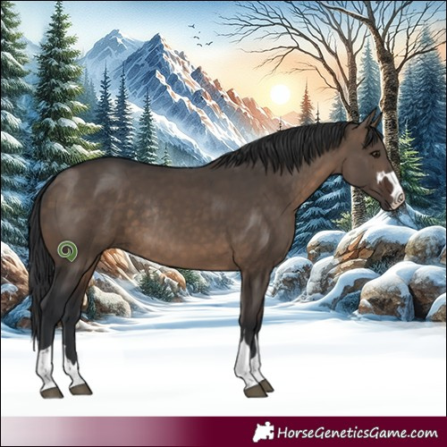 Horse Color:Brown Dun Rabicano 