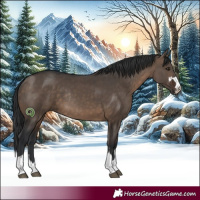 Horse Color:Brown Dun Rabicano