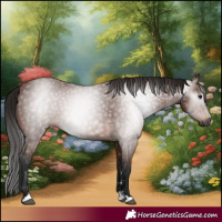 Horse Color:Gray Bay 