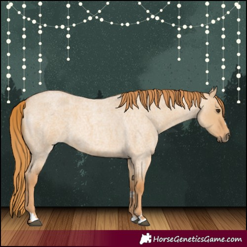 Horse Color:Red Dun Roan 