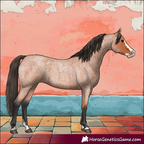 Horse Color:Bay Roan Splash