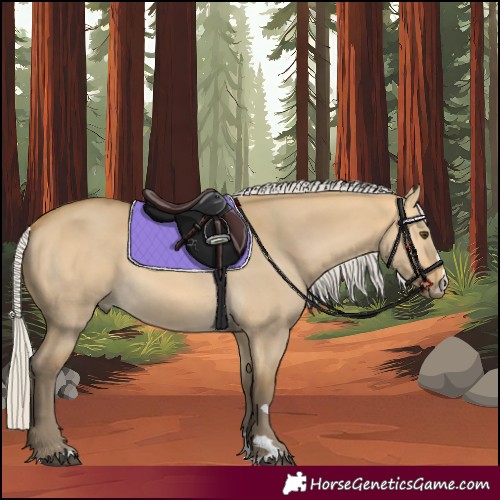 Horse Color:Silver Buckskin Dun 