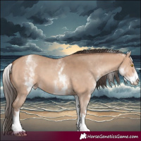 Horse Color:White Spotted Sable Champagne 