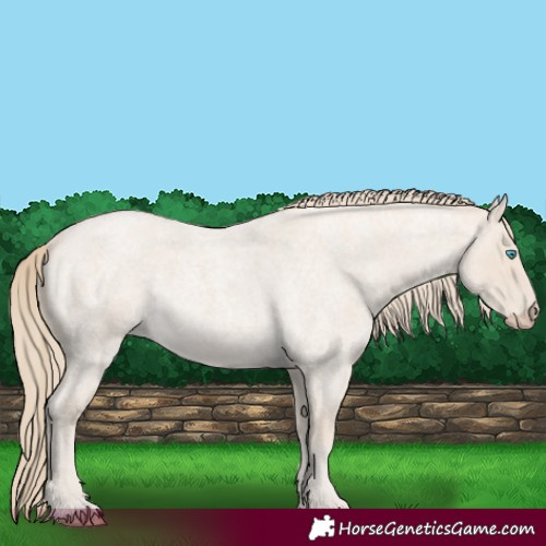 Horse Color:Smoky Creme Roan 