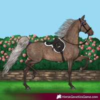 Horse Color:Silver Brown Dun