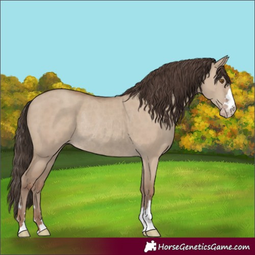 Horse Color:Classic Champagne Dun Rabicano