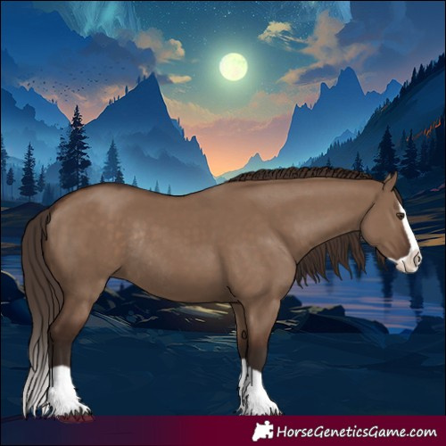 Horse Color:Liver Red Dun Splash Rabicano