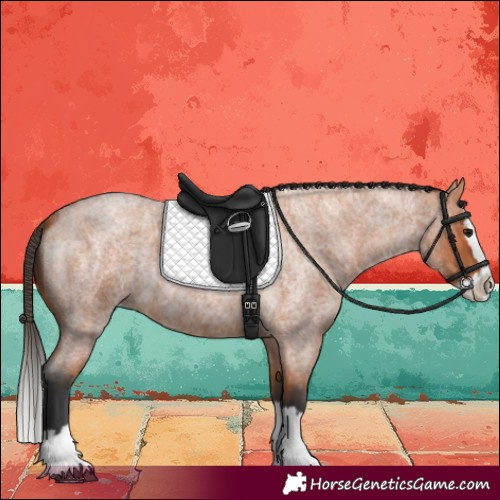Horse Color:Bay Roan Splash 