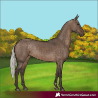 Horse Color:Silver Brown Dun