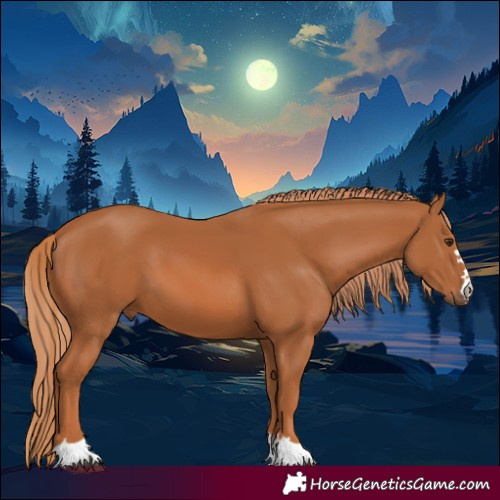 Horse Color:Chestnut 