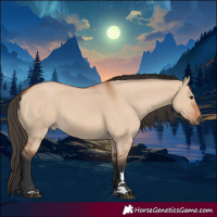 Horse Color:Bay Dun