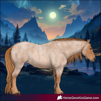 Horse Color:Red Roan 