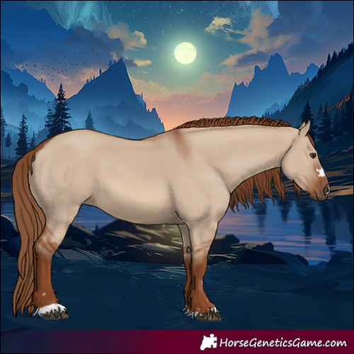 Horse Color:Red Dun 