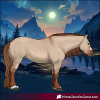 Horse Color:Red Dun