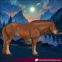 Horse Color:Chestnut 