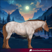 Horse Color:Red Roan 