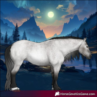 Horse Color:Gray Grullo Roan