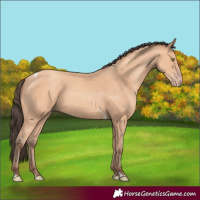 Horse Color:Amber Champagne Tobiano 