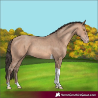 Horse Color:Amber Champagne Tobiano 
