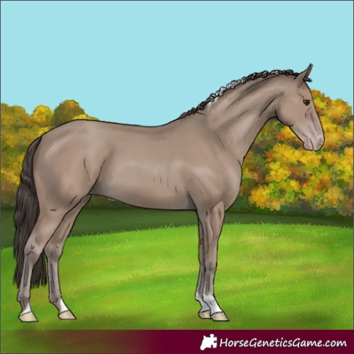 Horse Color:Classic Champagne Tobiano 