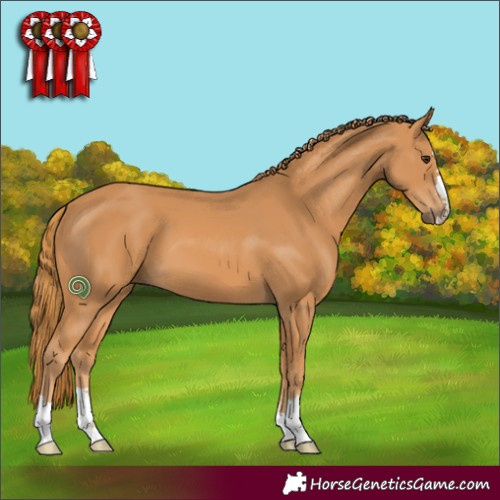 Horse Color:Chestnut 