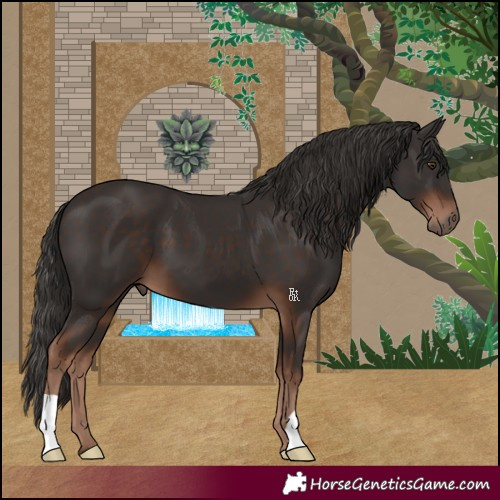 Horse Color:Liver Chestnut 