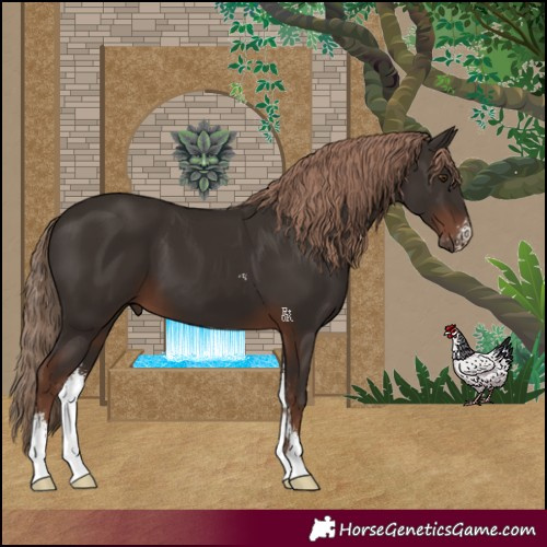Horse Color:Liver Chestnut Sabino 