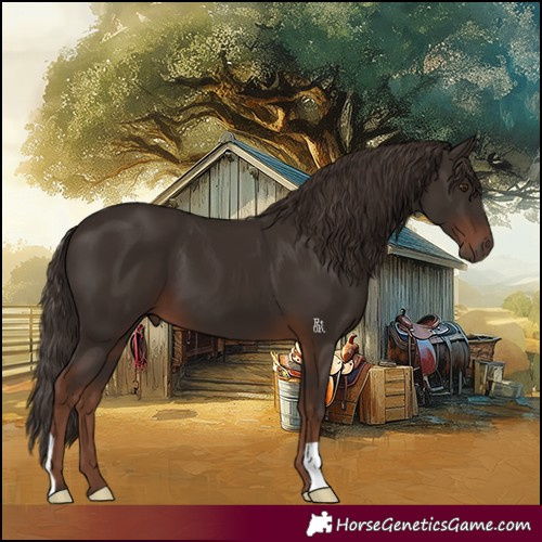 Horse Color:Liver Chestnut 