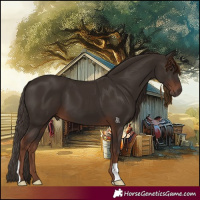 Horse Color:Liver Chestnut