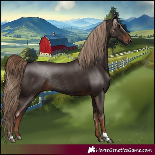 Horse Color:Liver Chestnut Rabicano 