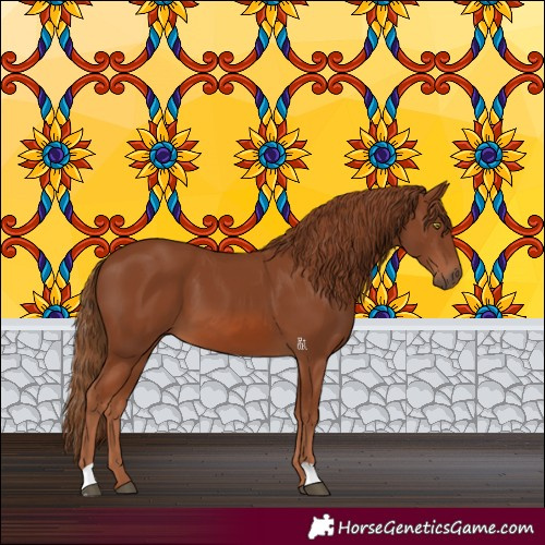 Horse Color:Chestnut 