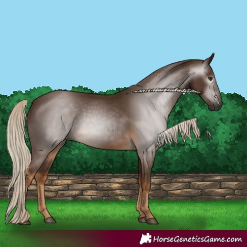 Horse Color:Gray Chocolate Palomino 